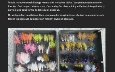 La couleur des Streamers
